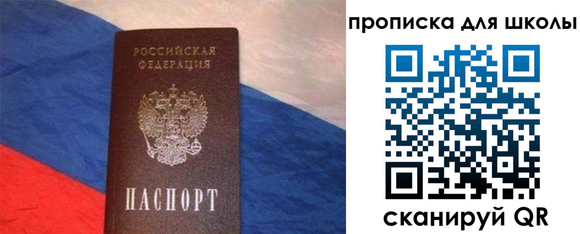 прописка поиск в Сосенском